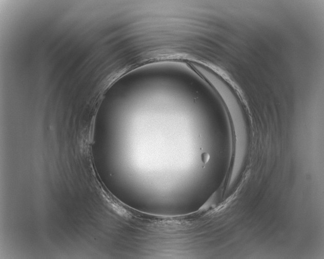 X0000064720897200602241635