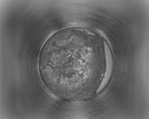 X0000064720899200602241635