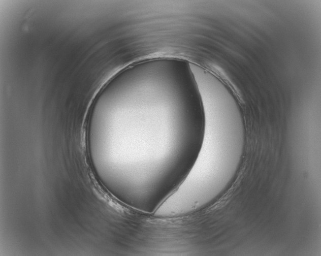 X0000064720900200602241635