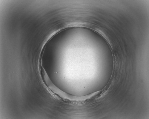 X0000064720901200602241635