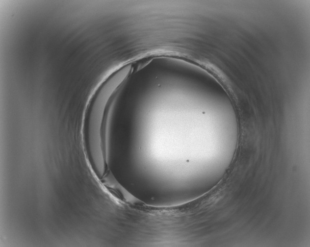 X0000064720902200602241635