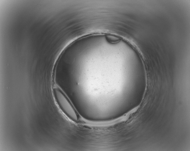 X0000064720903200602241635