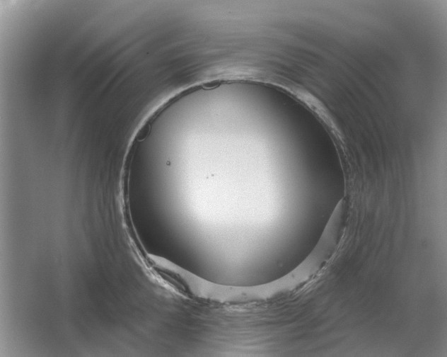 X0000064720904200602241634