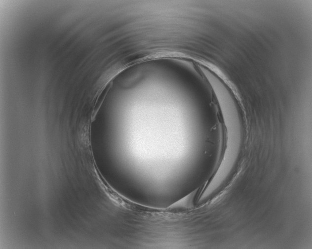 X0000064720905200602241634