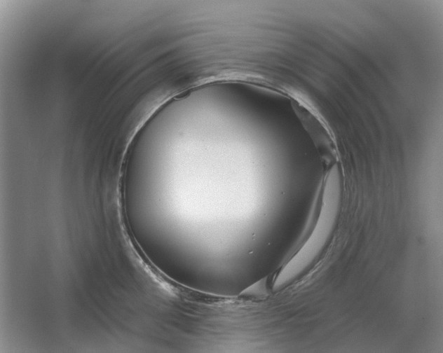 X0000064720906200602241634