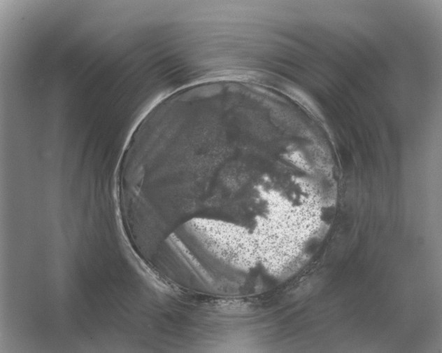 X0000064720907200602241634