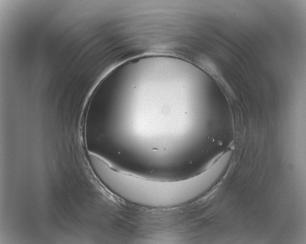 X0000064720908200602241634