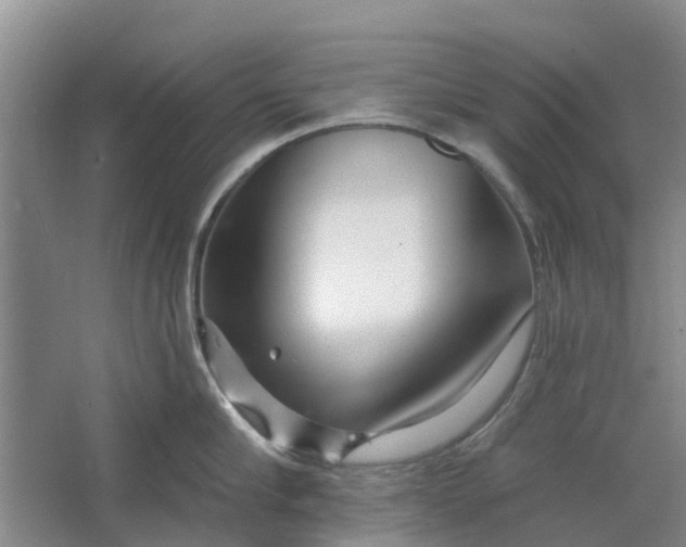 X0000064720910200602241634