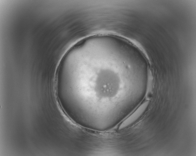 X0000064720911200602241634