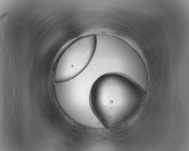 X0000064720912200602241634