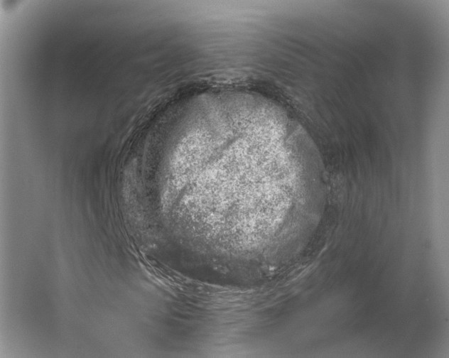 X0000064720913200602241633