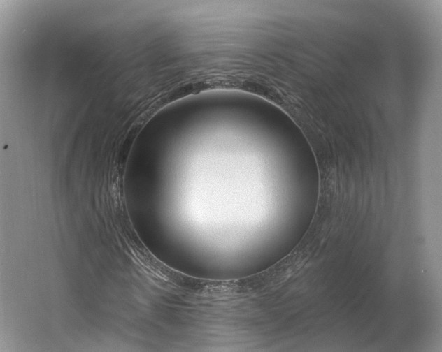 X0000064720914200602241633