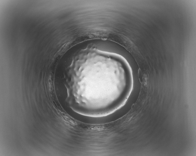 X0000064720915200602241633