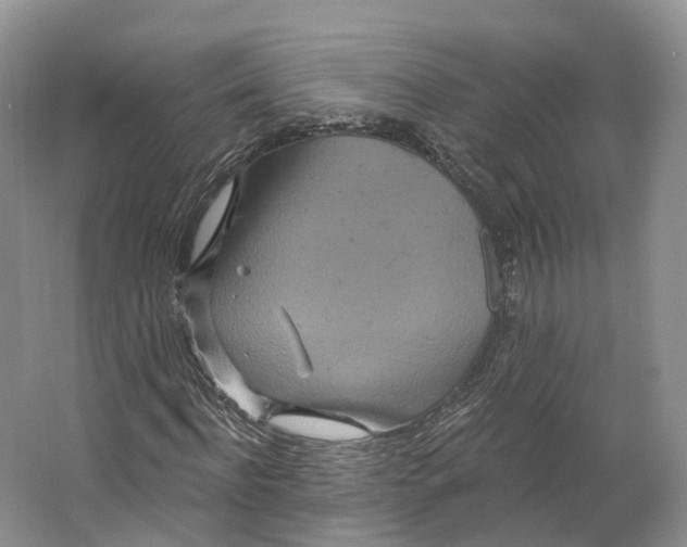 X0000064720916200602241633