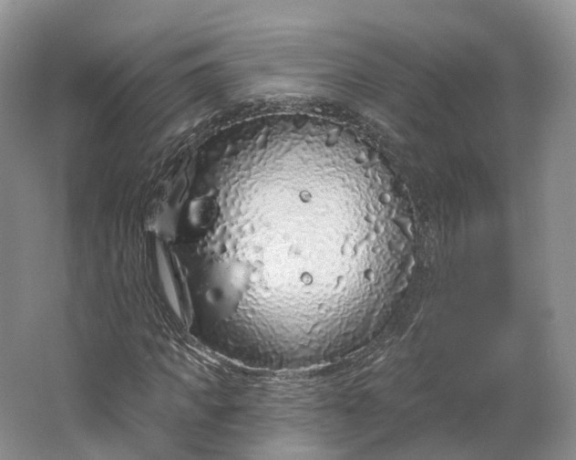 X0000064720917200602241633