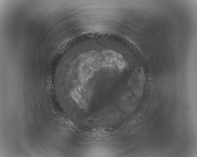 X0000064720918200602241633