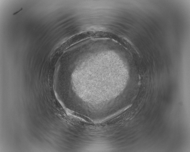 X0000064720919200602241633