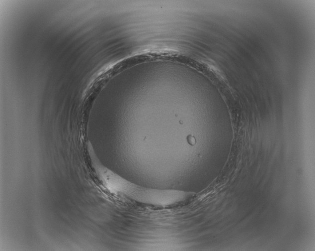 X0000064720920200602241633