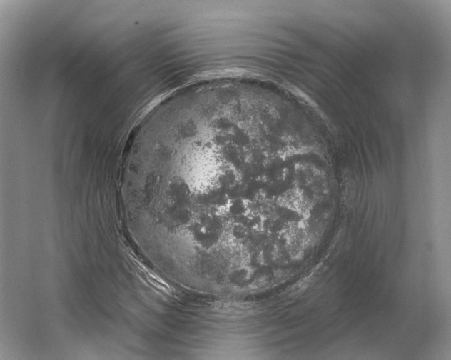 X0000064720921200602241633