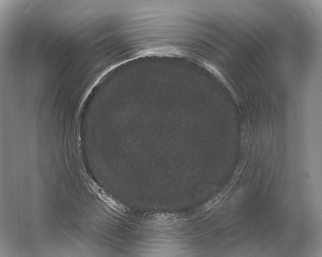 X0000064720923200602241633