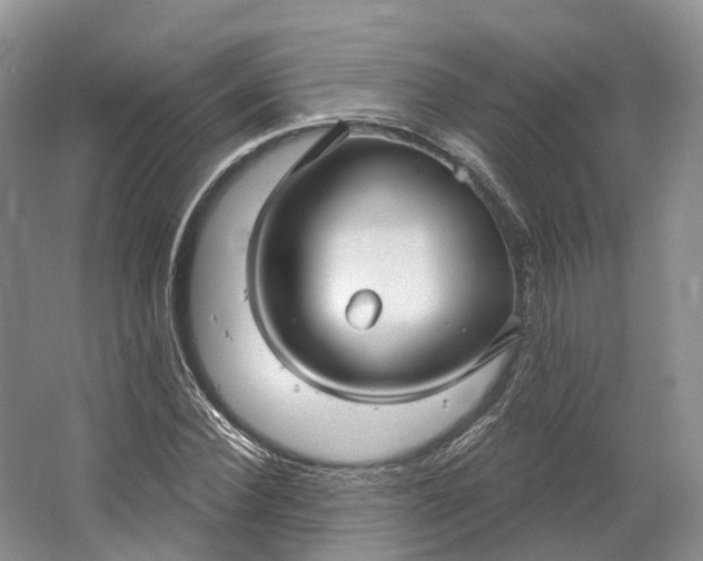 X0000064720924200602241633