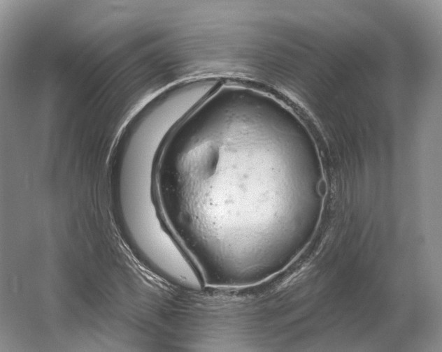 X0000064720925200602241633