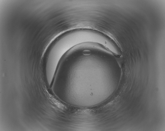 X0000064720926200602241633