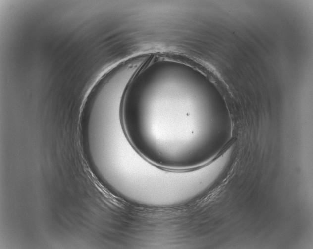 X0000064720927200602241633