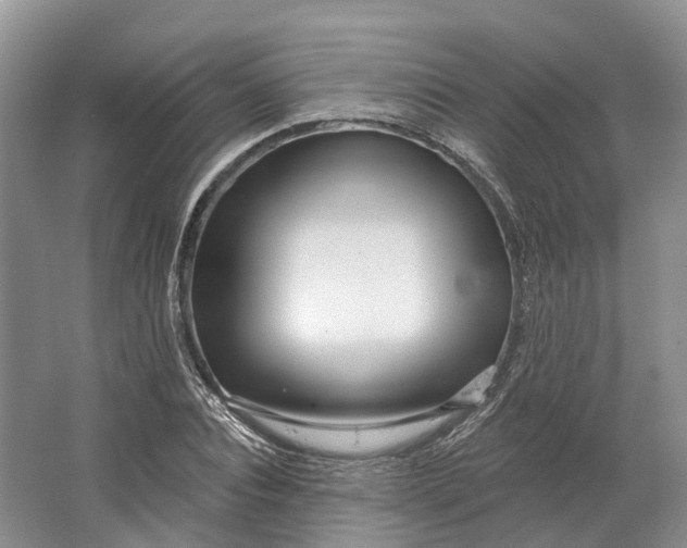 X0000064720928200602241633