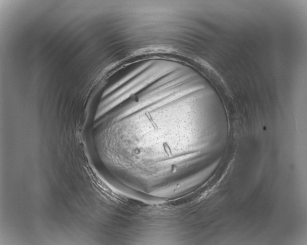 X0000064720929200602241633