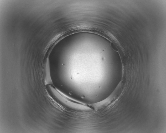 X0000064720930200602241634