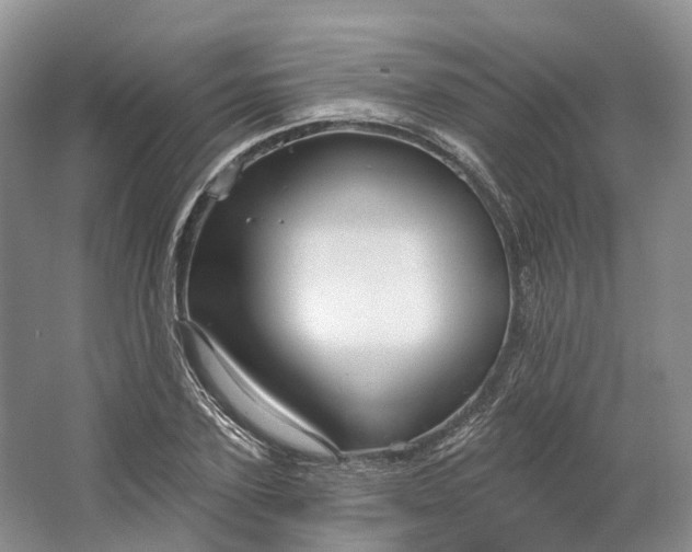 X0000064720931200602241634