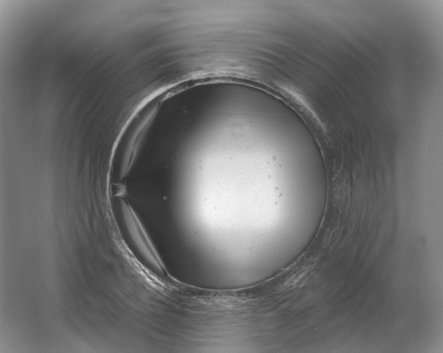 X0000064720932200602241634