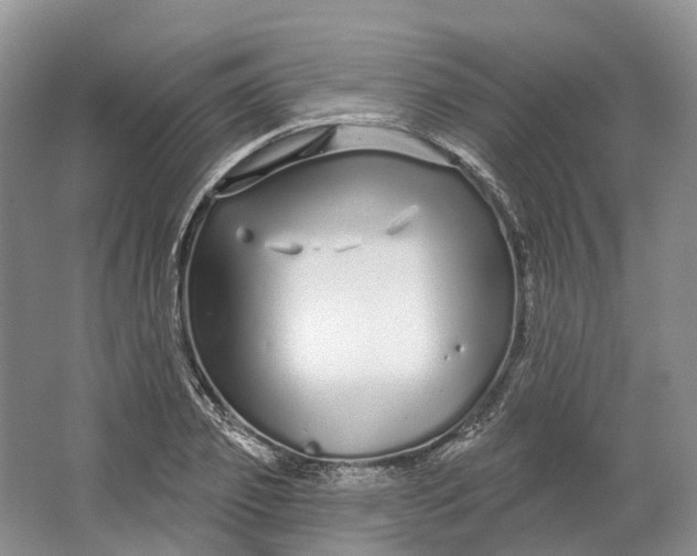 X0000064720933200602241634