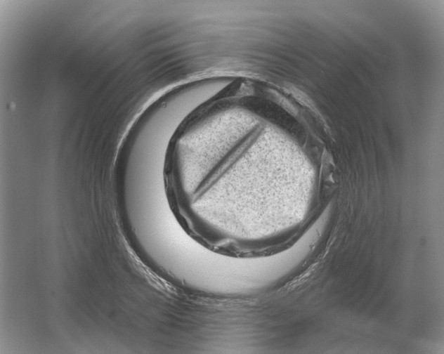 X0000064720934200602241634