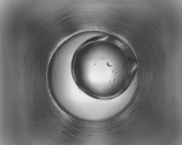 X0000064720935200602241634