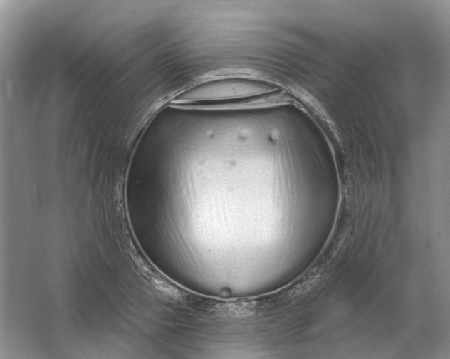 X0000064720937200602241634