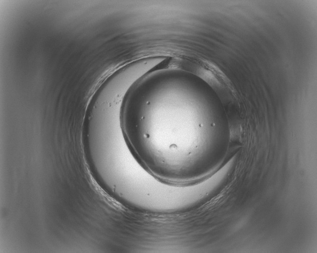 X0000064720938200602241634