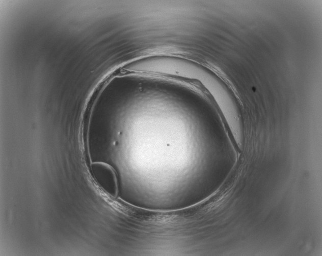 X0000064720939200602241634