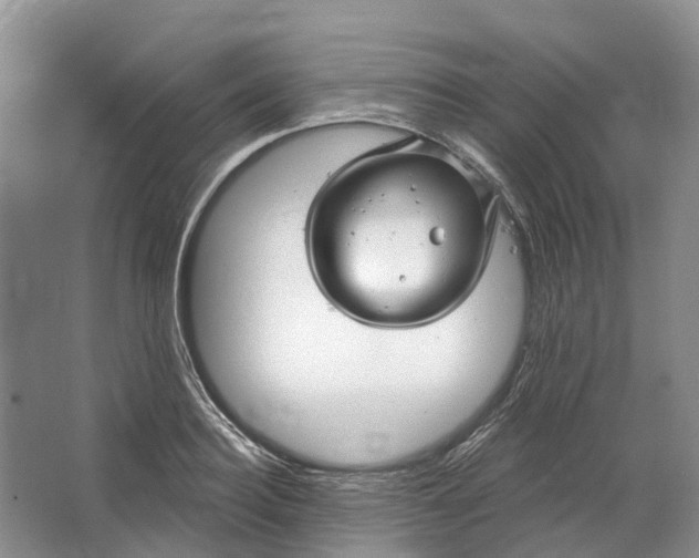 X0000064720940200602241634