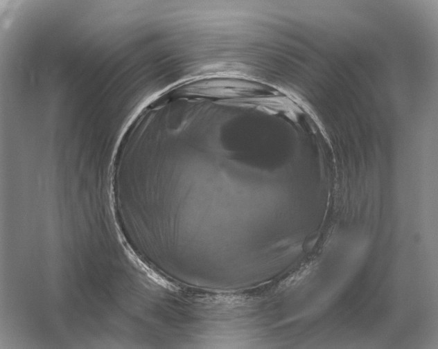 X0000064720941200602241634