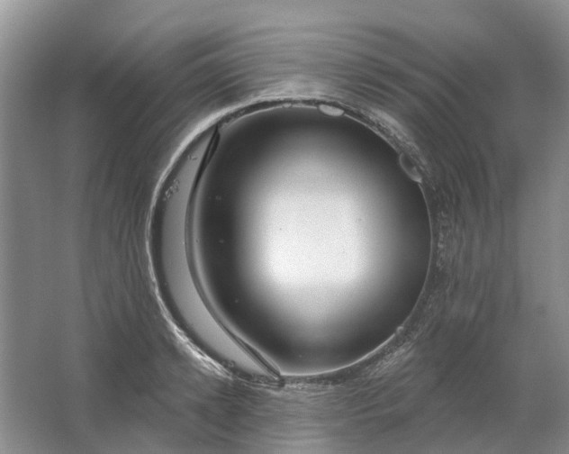 X0000064720942200602241634