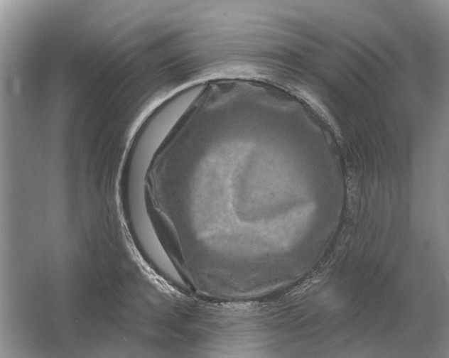 X0000064720944200602241634