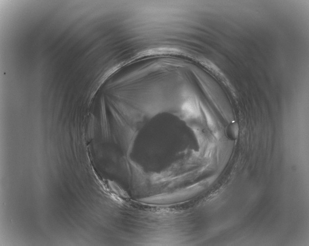 X0000064720945200602241634