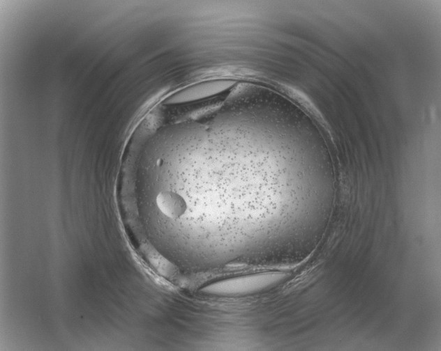 X0000064720946200602241634