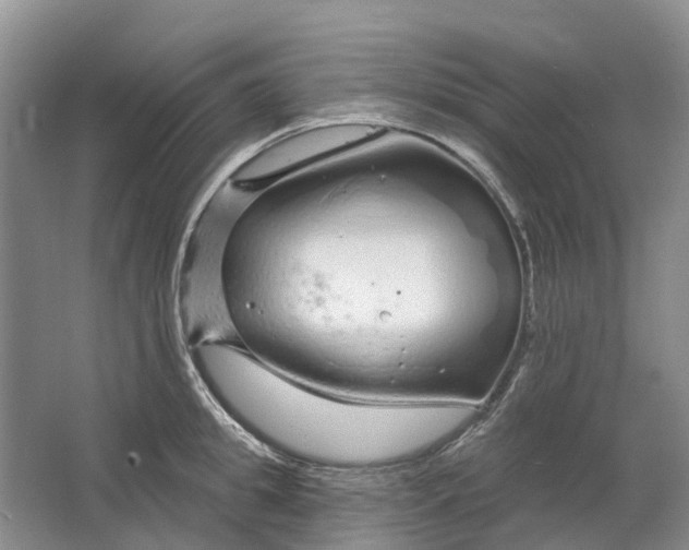 X0000064720949200602241634