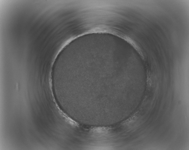 X0000064720950200602241634