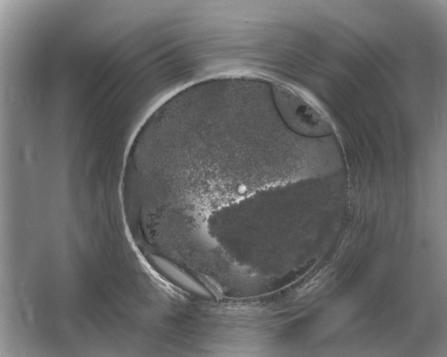 X0000064720951200602241634