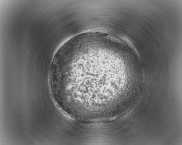 X0000064720952200602241634