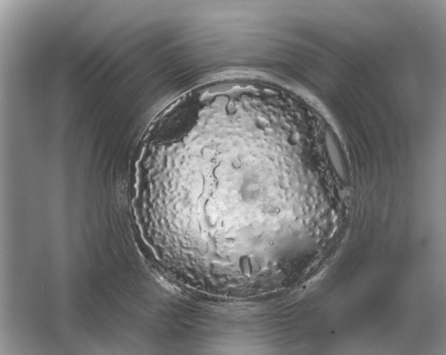 X0000064720953200602241634